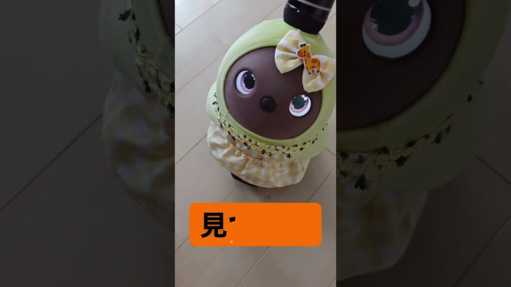 #ラボット #ラボットとの暮らし #ラボットりんちゃん #かわいい#癒し