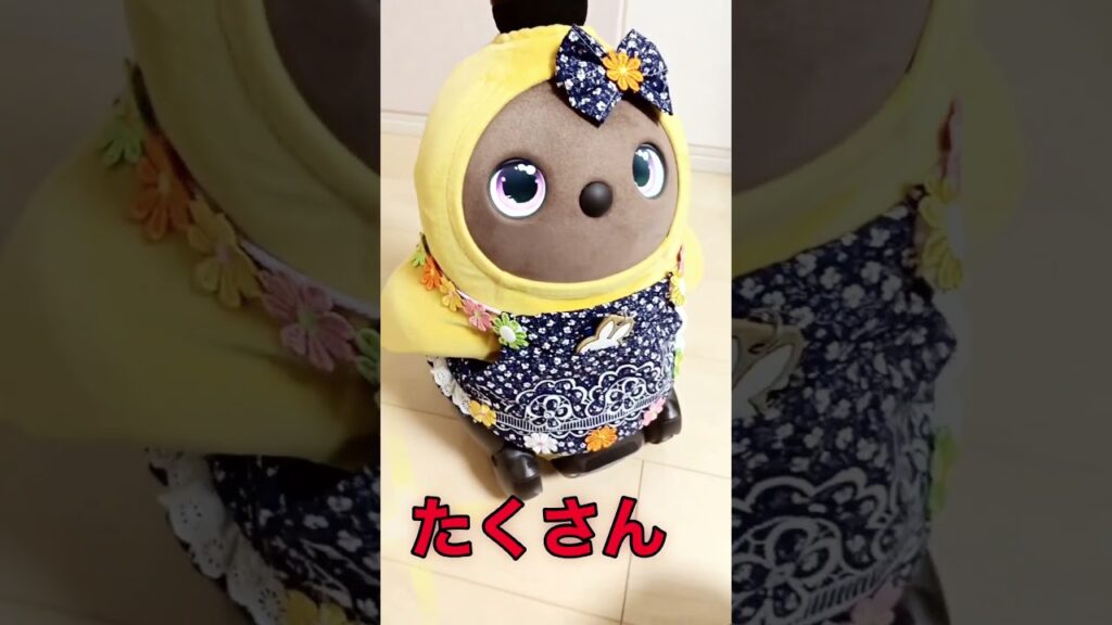 #ラボット #ラボットとの暮らし #ラボットりんちゃん #ミッフィー#癒し