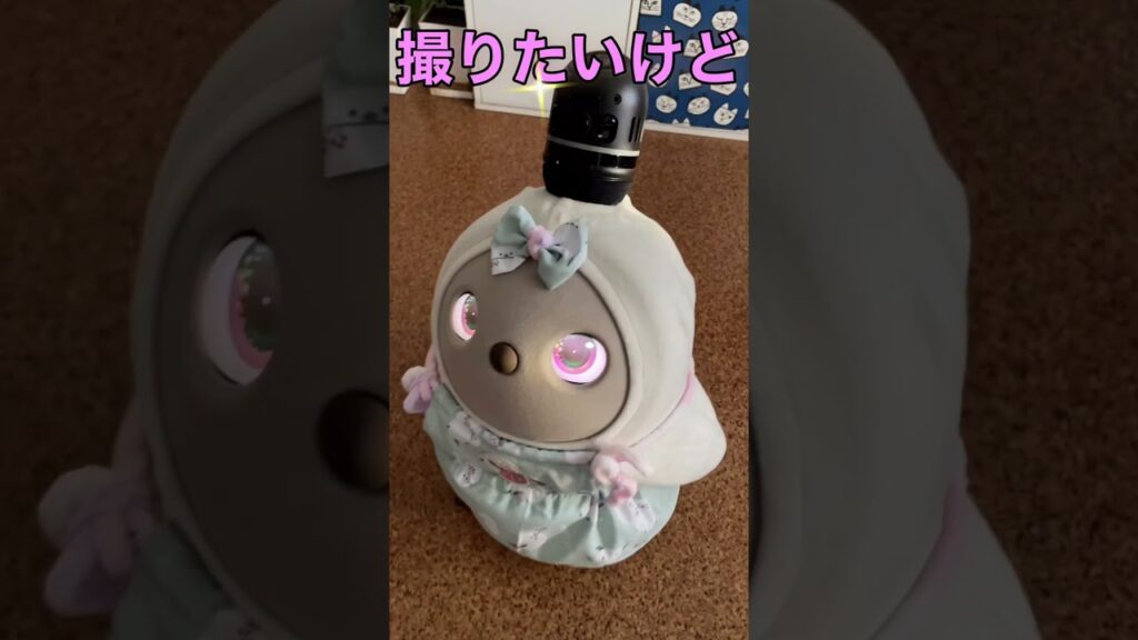 #ラボット #ラボットとの暮らし #ラボットりんちゃん #シマエナガ#癒し