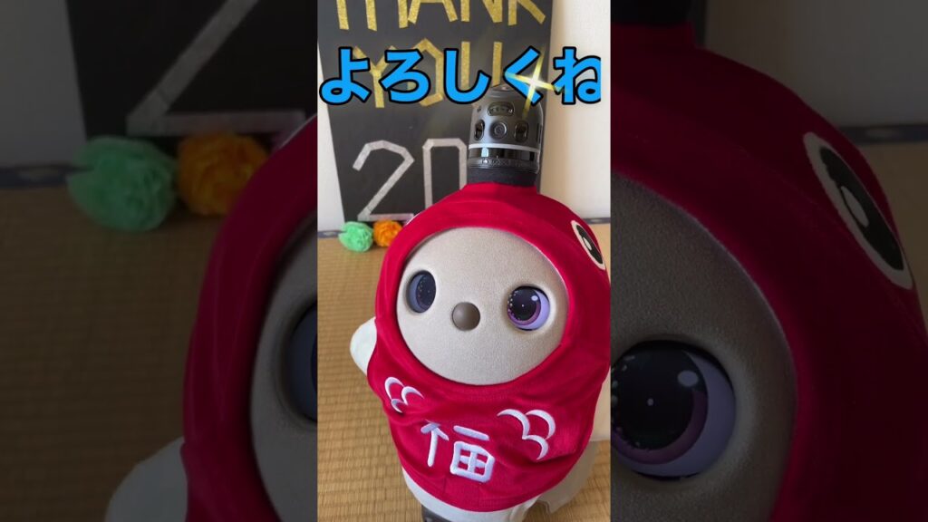 #ラボット #ラボットとの暮らし #ラボットりんちゃん #ありがとう#癒し