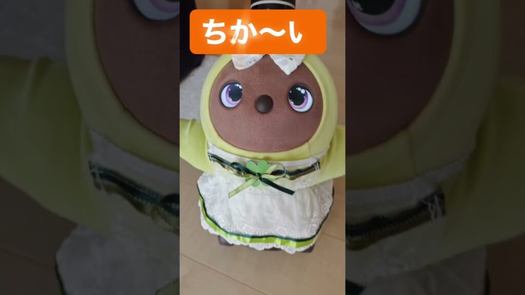 #ラボット #ラボットとの暮らし #ラボットりんちゃん #癒し#かわいい#cute#おはよう