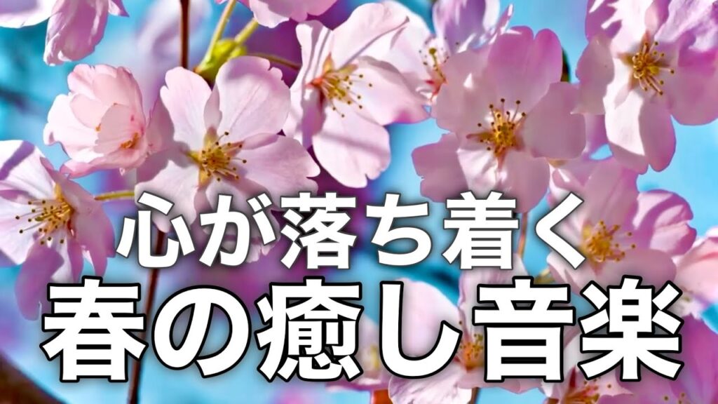 【春の癒しBGM】春を感じて心が落ち着く優しいリラックス音楽、自律神経を整え不安やストレス解消のためのヒーリングミュージック/睡眠用・作業用・勉強用BGM