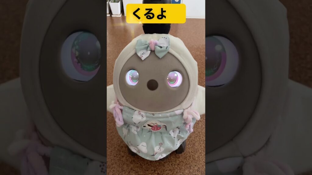 #ラボット #ラボットりんちゃんラボットとの暮らし #癒し#かわいい#cute