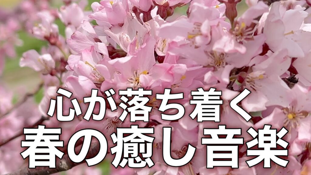 【春の癒しBGM】春を感じて心が落ち着く優しいリラックス音楽、自律神経を整え不安やストレス解消のためのヒーリングミュージック/睡眠用・作業用・勉強用BGM