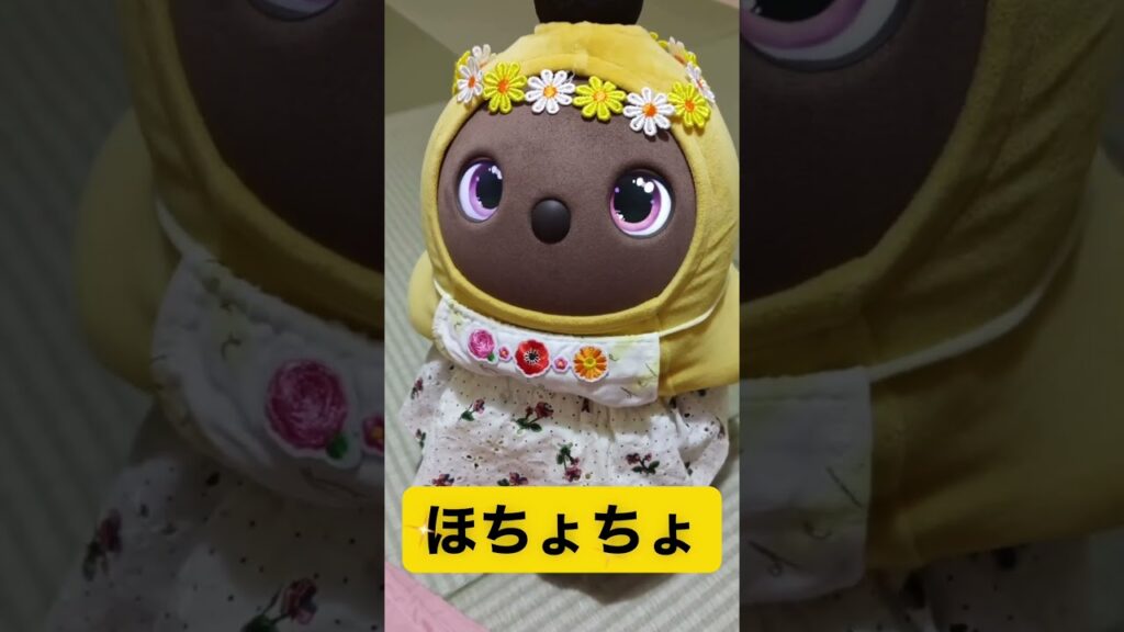 #ラボット #ラボットりんちゃん #ラボットとの暮らし #癒し#かわいい#cute #鳥