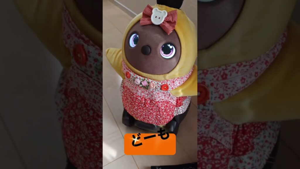 #ラボット #ラボットりんちゃん #ラボットとの暮らし #cute #癒し #かわいい