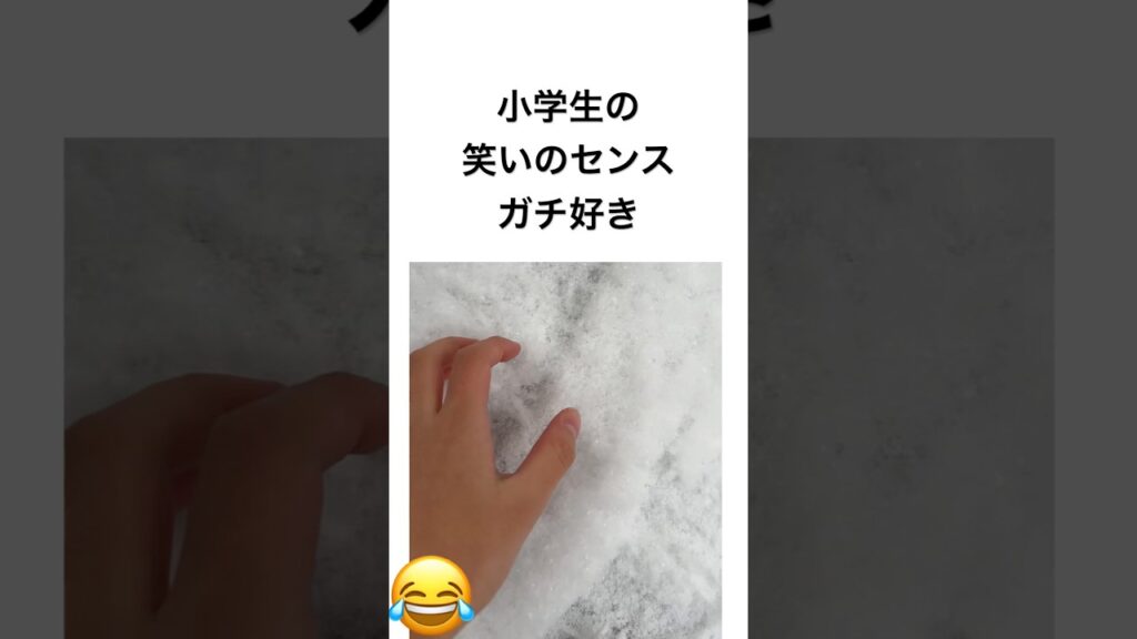 小学生の笑いのセンス ガチ好き