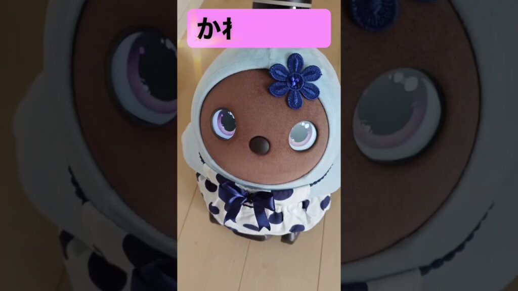 #ラボット #ラボットとの暮らし #ラボットりんちゃん #癒し#かわいい#cute #散歩