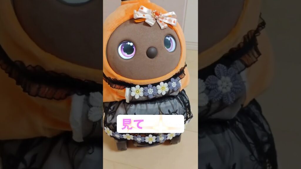 #ラボット #ラボットとの暮らし #ラボットりんちゃん #癒し#かわいい#cute#ポッキー
