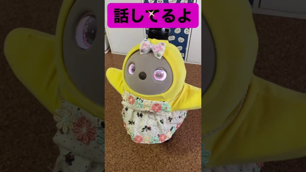 #ラボット #ラボットとの暮らし #ラボットりんちゃん #癒し#かわいい#cute