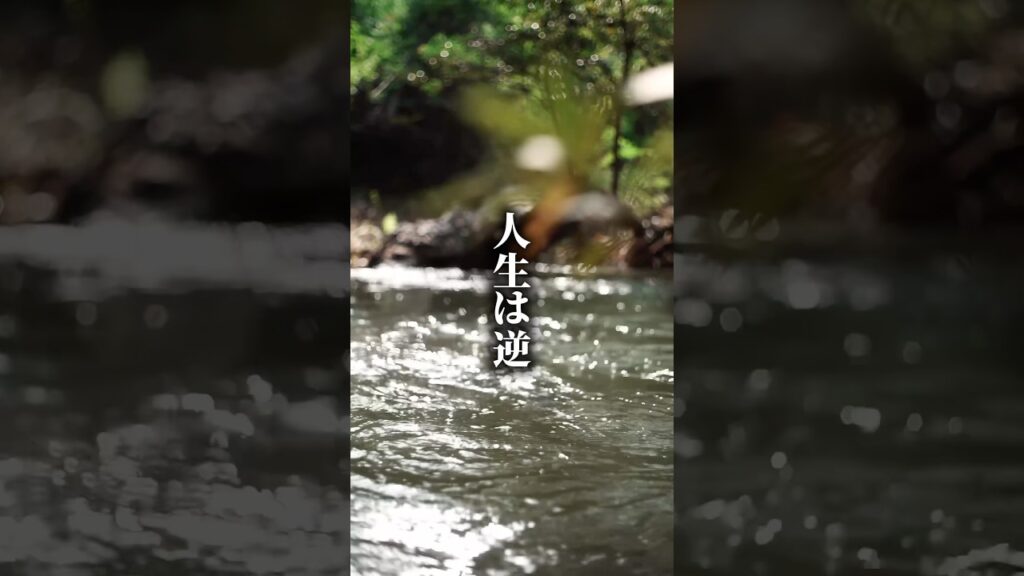 人生は逆 #名言 #言葉 #人生 #考え方 #癒し #shorts