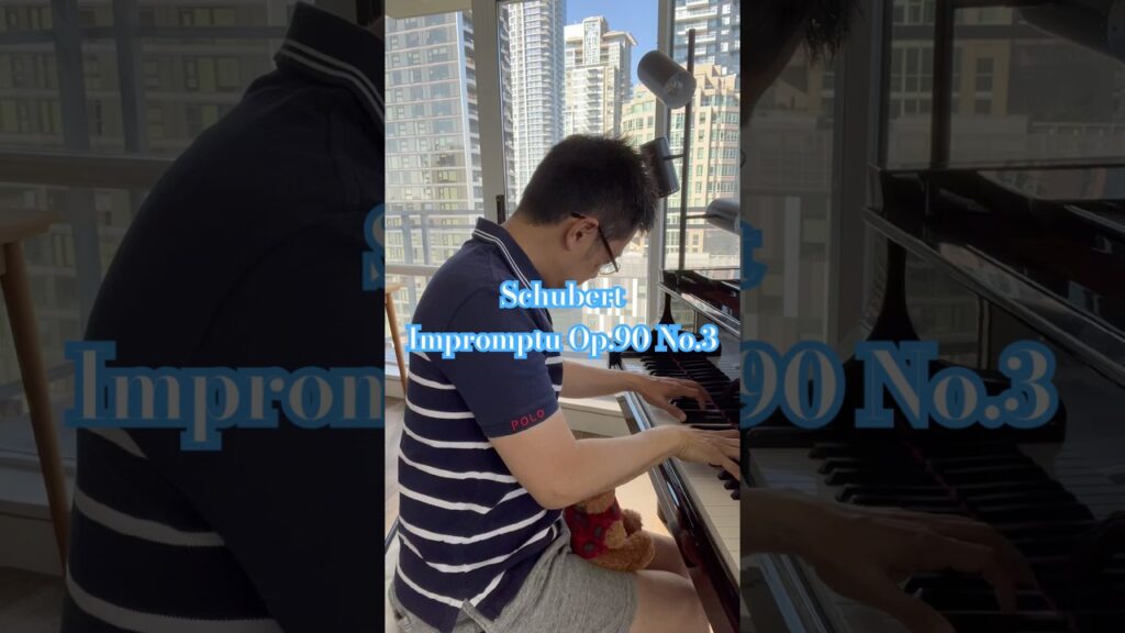 Schubert : Impromptu Op.90 No.3 #shorts #piano #癒し #ピアノ #healing #pianomusic