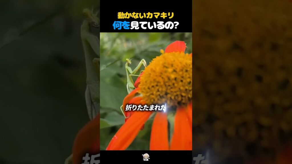 同じ場所で同時に起きている3つの違う動き