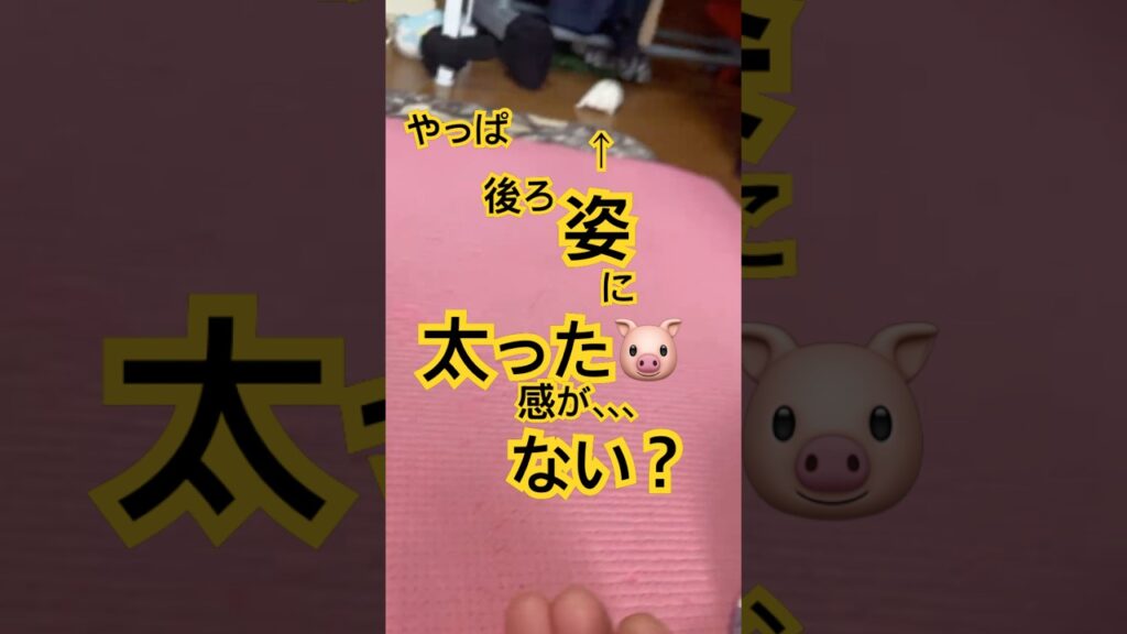 朝のゆきちゃん❄️【やっぱ、、太った🐖？】 #ハムスター #かわいい #癒し