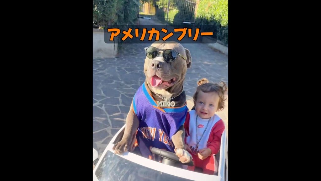 動物も鬱病を経験するのだろうか？ #動物 #動物プロダクション #animals #自然 #癒し