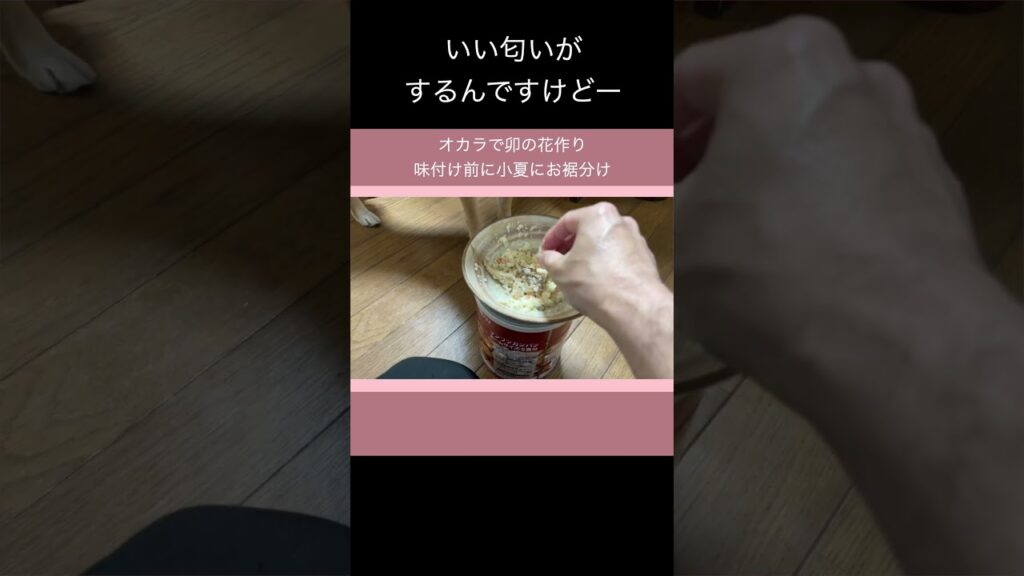 いい匂いがするんですけどー #柴犬 #shibainu #癒し