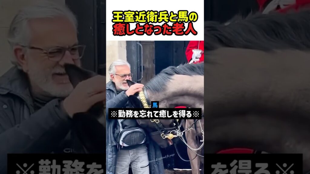 【敬意】王室近衛兵と馬の癒しとなった初老の男性　#馬 #王室 #近衛兵 #老人 #優しさ #尊敬 #敬意 #癒し #感動 #shorts