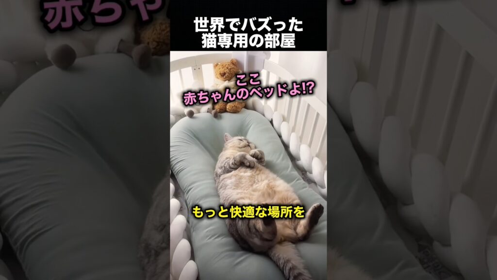 飼い主さんと寝られなくなった愛猫に作ってあげたもの！