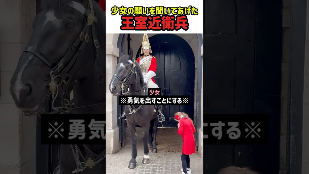 【感動】少女の願いを聞いてあげた王室近衛兵　#馬 #王室 #近衛兵 #警備 #優しさ #愛情 #癒し