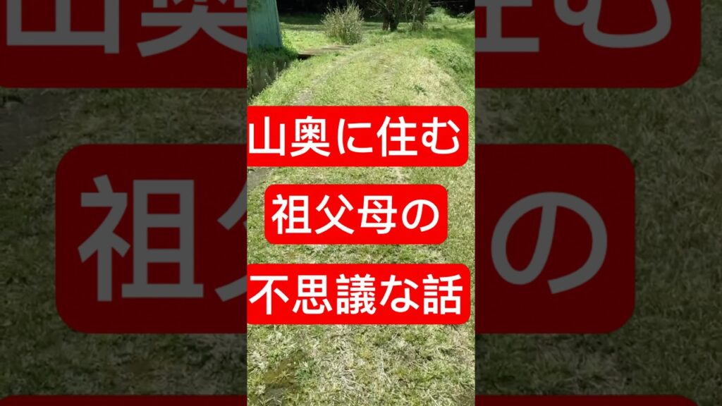 #shortsひとりを楽しむ#ひとり暮らし#癒し#不思議
