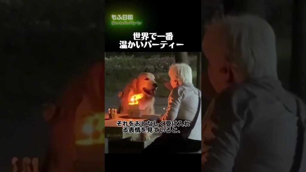 世界で一番温かいパーティー (