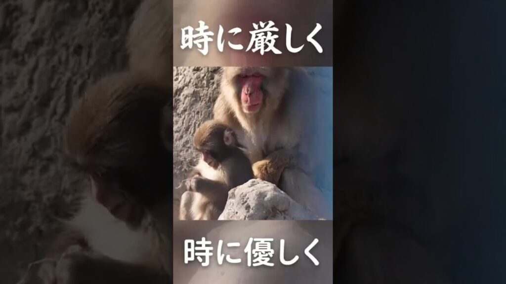 【アトじいとパンチ君】年の差22歳 厳しくても離れたくない理由  #がんばれパンチ   #パンチくん   #市川市動植物園    #punch