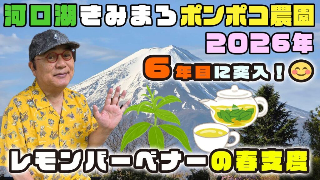 【2026年ぽんぽこ農園スタート🏁】レモンバーベナの春支度🌿河口湖きみまろポンポコ農園／綾小路きみまろ
