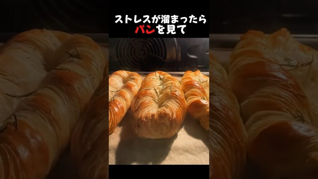 パンがあなたを癒しにきました