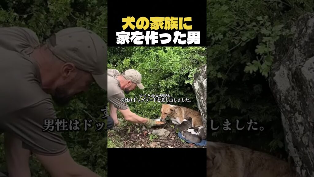 岩のすき間から聞こえた鳴き声。その先にいたのは…